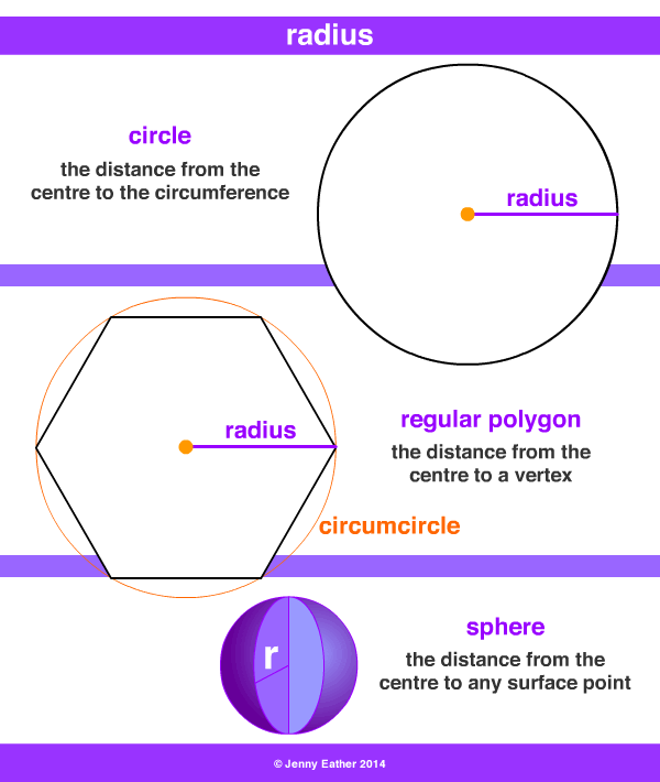 radius, plural radii